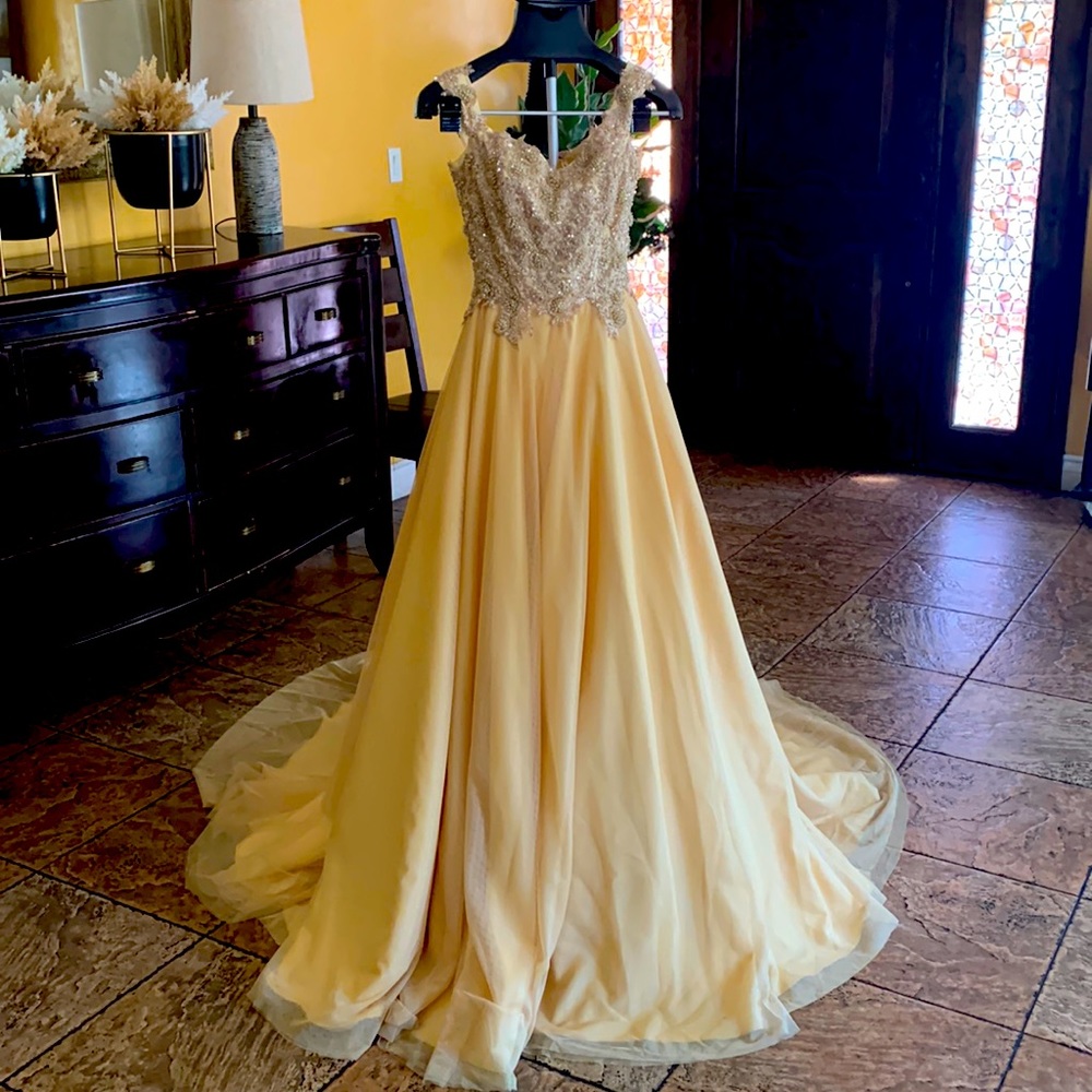 Quinceañera dress/Gown